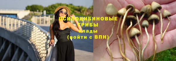 MESCALINE Арсеньев